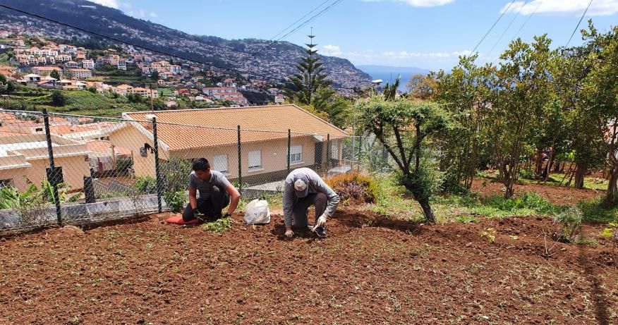 Imaculado acolhe mais um projeto intergeracional