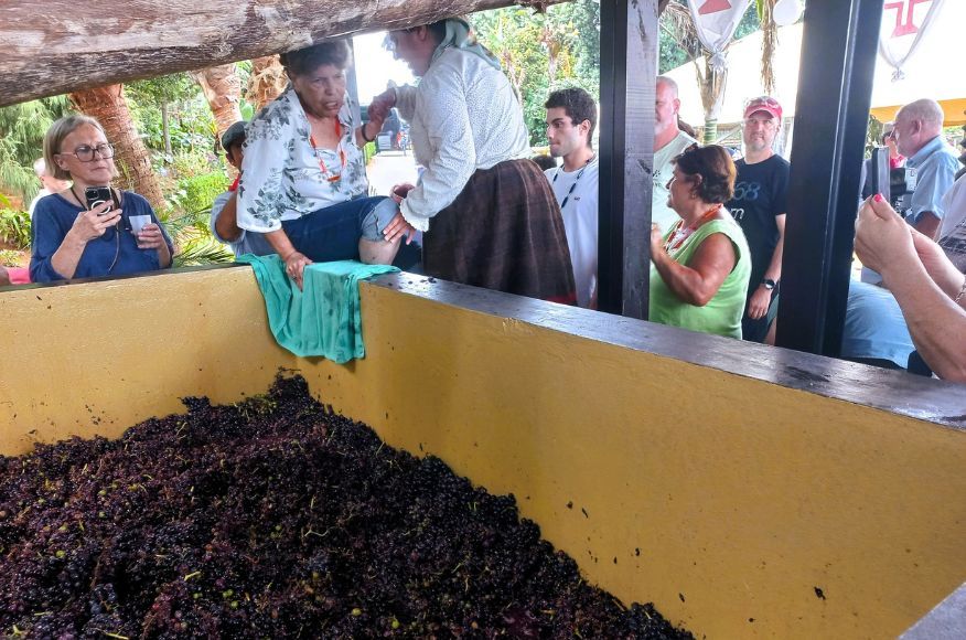 Imaculado realiza último passeio do mandato com dia dedicado às vindimas 
