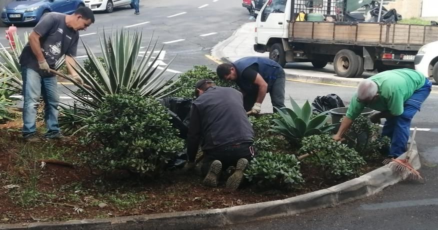 Jardins e canteiros v&atilde;o ganhar nova imagem
